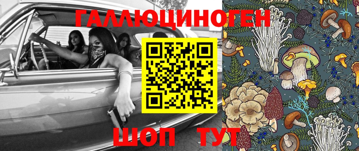 Златоуст  закладки  Вход с VPN  Галлюциногенные грибы Magic Shrooms 